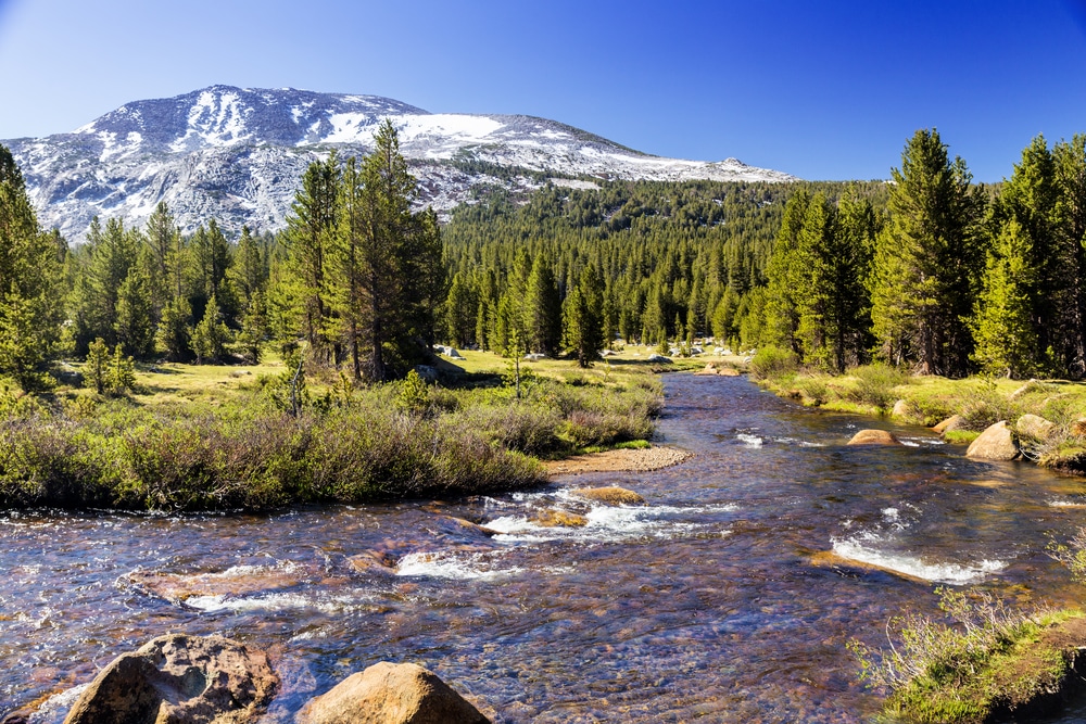 Tioga,Pass,,Yosemite,National,Park,,California,,Usa