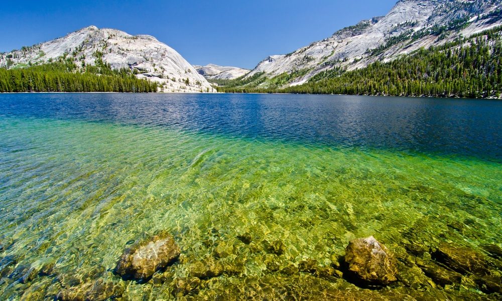 Tenaya,Lake,At,Yosemite,National,Park.