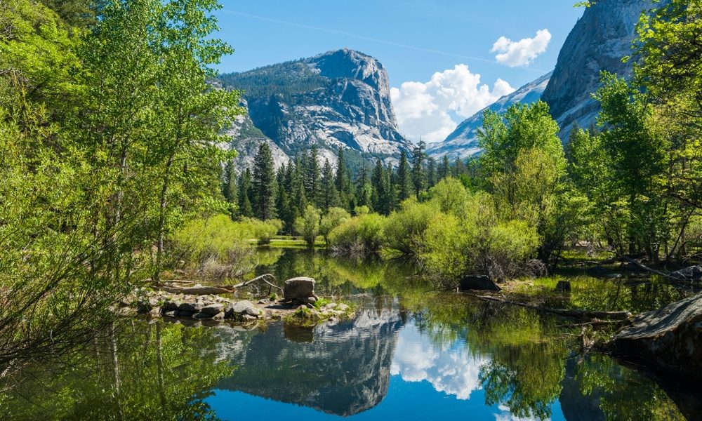Half,Dome,Reflecting,In,A,Mirror,Lake,,Yosemite,National,Park.